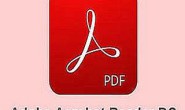 PDF阅读器：Adobe Acrobat Reader DC 2023.008.20421