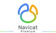 数据库管理 Navicat Premium 16.3.3 Win / 16.3.4 Mac / 16.1.2 Linux