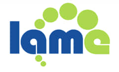 LAME MP3 Encoder 与 ACM